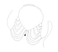 Accesorio de cadena de aleación con cristales para mujer, para fiestas, bikini, joyería corporal, cadena de pecho para festivales y clubes, aleación