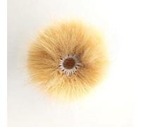 Accesorio de repuesto para micrófono y parabrisas para reparación de Lavalier