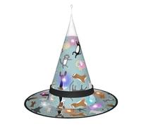 Accesorio de sombrero de bruja para gatos y perros lloviendo - Disfraz de Halloween para mujer, para fiestas, Navidad y ocasiones festivas