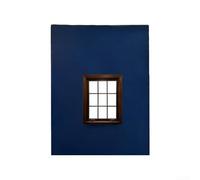 Accesorio de ventana plegable ligero para fotógrafos que buscan una instalación rápida y un fácil transporte durante viajes prolongados (C)