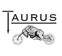 ACCESORIO MALETERO MOTO PARA SUZUKI GSX 600 F 98>04 SOMBRA S0G78T