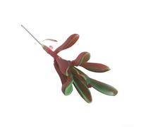 Accesorio para plantas suculentas para eventos, flores, simulación realista, decoración artificial para el hogar, cabeza de loto, bajo mantenimiento, vegetación, decoración floral de plástico, oficina