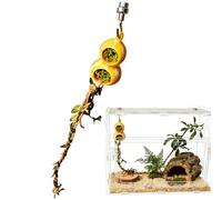 Accesorio para terrario de arañas - PVC | Piscina magnética para reptiles | Cueva Hábitat con función de escalada y ocultación, decoración natural con diseño de musgo | para tarántula, mantis