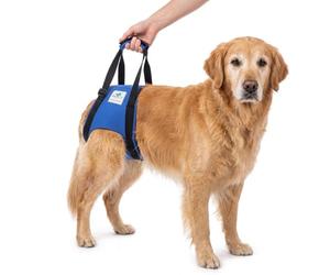 Accesorio Posterior para Transportar Perros - Asistencia en la rehabilitación y en Caso de Problemas en la Columna Vertebral, la Cadera y Las Rodillas - Negro - L