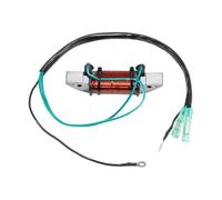 Accesorios Bobina de estator generador de motor Magneto de motocicleta compatible con 40HP K40J E40G OE 6F5-85533-00 6F5-85533-10
