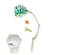 Accesorios de Araña Saltarina Accesorios decorativos para mascotas