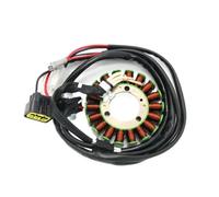 Accesorios de bobina de estator de generador de estator de motor Magneto de motocicleta 3D7-81410-01 3D7-81410-00 Compatible con WR250R WR250X