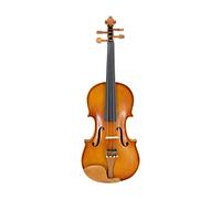 Accesorios De Jujube Hecho A Mano Ebony Fingerboard Enviar Caja De Violín Cuerdas De Arco Violín Violín