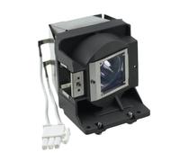 Accesorios de lámpara de proyección compatibles con O-PTO*A DX328 DX330 DX343 H100 S2010 S2015 S302 S303 S313 W2015 W303 W313 X2010(BL-FU190C-CBH)
