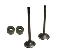 Accesorios de motocicleta piezas de repuesto para CG250 250cc motor de repuesto conductos de admisión habitual sello de aceite válvulas de motocicleta