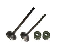 Accesorios de motocicleta, piezas de repuesto para motor CG250 250 CC, válvulas de escape de admisión de motor, guía de vástago, válvulas de sello de aceite para motocicleta