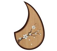 Accesorios de Protección para Guitarra Acústica Placa Protectora Para Guitarra Acústica, Placa Protectora Antiarañazos, Placa Protectora Para Guitarra De 40/41/39/38 Pulgadas Golpeador de Guitarra acú