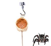 Accesorios de recinto de araña saltarina, hábitat de araña Saltando magnética, decoración de Escalada de casa de Animales con Cuerda para casa de Mascotas, Interior