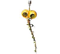 Accesorios de recinto de araña saltarina, magnético para Tanque de Reptiles, Cueva de Descanso de araña saltadora, para Escalar, Descansar, forrajear, recinto de Acuario, Paisaje, tarántula