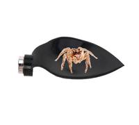Accesorios De Terrario De Araña Saltadora Escalera Magnética De Descanso En