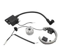 Accesorios Moto Cdi Kit de para Volante estator Interno para Motocicleta para KTM SX 50 50cc