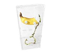 Accesorios para arañas de saltar, decoración magnética de diseño de frutas, hábitat para arañas saltamontes, hierba de pampas, tortuga, dragón, dragón, dragón, dragón, dragón, dragón, dragón