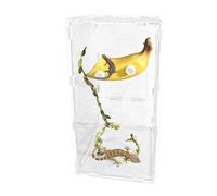 Accesorios para arañas de salto, caja magnética de diseño de frutas - Hábitat para arañas de saltar | Para saltamontes hierba de Pampas, tortuga, dragón, dragón, dragón, dragón, dragón barbudo