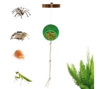 Accesorios para arañas saltando - de madera para cabaña de escalada, juego de decoración de cuerda de algodón, accesorio ligero para rama de araña | Utilidad de visualización de tanque para