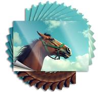 Accesorios para coche, diseño de caballo marrón con un cabestro verde contra un cielo azul, paquete de 10 calcomanías para decoración de pared de cueva de hombre (8 x 12 cm)