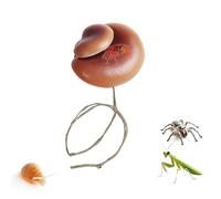 Accesorios para El Hábitat De Las Arañas Saltantes - Parque Magnético,Hábitat De Setas Simuladas Hábitat Accesorios | para Mantis Religiosa, Escorpión, Ermitaño, Animales pequeños, Mascotas