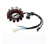 Accesorios Para La Bobina Del Estator Magneto Generador De Motocicleta 21C-H1410-00 Para FZ16 Todos Los Años Estator Bobina