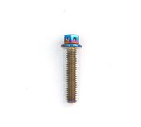 Accesorios para Motos Tornillos De Acero Inoxidable para Motocicleta, Azul M6X12 M6X15 M6X20 M6X25 M6X30 M6X35 M6X40 M6X45 M6X50 M6X55 M6X60(M6x35)