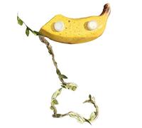 Accesorios Para Recintos De Arañas Saltadoras, Caja Magnética, 1 Pieza, Recinto Para Hábitat De Arañas, Accesorios Para Terrario, Enriquecimiento Divertido, Para Hierba, Pampa, Tortuga, Dragón, B