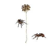 Accesorios para Recintos Jumping Spider - Plataforma Magnética para Tomar El Sol En Forma De Hongo con Tira De Escalada | Piel De Hongo Simulada para Geckos, Lagartos Y Pequeños Reptiles, Conjunto De