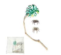 Accesorios Para Terrario Araña Saltarina Juguetes Trepadores Realistas