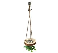 Accesorios para Terrario de Araña Saltadora Soporte Para Zona De Actividad