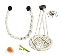 Accesorios para terrario de arañas | de Cuerda Colgante extraíble | Decoración para recinto de araña saltarina | para cría, Gecko, Rana arbórea, ermitaño, hábitat de Reptiles