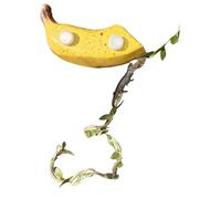 Accesorios Para Terrarios De Arañas Mascota | Decoraciones Magnéticas Con Diseño De Fruta | Complementos Para Hábitat De Arañas Saltarinas - Para Pampas Tortugas Dragones Geckos Barbudos Y Hierba De H