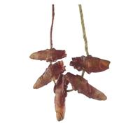 Accesorios sangrientos de Halloween aterradores, partes del cuerpo muerto, dedos rotos, para casa embrujada, Halloween, vampiro, zombi, suministros de decoración de fiesta