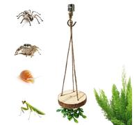 Accesorios Terrario Arañas Percha de Área de Escalada y Actividad | Accesorios Para Terrario De Tarántulas para Hábitat de Reptiles, Acuario, Serpiente, Tortuga Acuática y Tortuga Terrestre