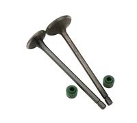 Accesorios Válvulas de admisión y escape for motocicleta (2 piezas) compatibles con motores de 4 tiempos CG110, CG125, CB125J, CB125S, XL125 (14711-383-000)