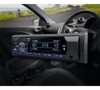 Accesorios y Equipamiento > Imagen, Sonido y Multimedia > Autorradio