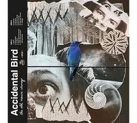 Accidental Bird - The Old News Shrug (Blue Transparent Colored) [VINYL] [Vinilo]