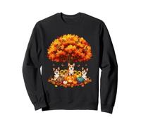 Acción de Gracias Otoño Corgi Perros Hoja Otoño Árbol Es Otoño Todos Sudadera