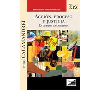 Accion, Proceso Y Justicia