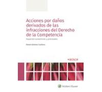 Acciones Por Daños Derivados De Las Infracciones Del Derecho De La Competencia