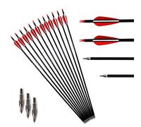 ACCMOS Tiro al Arco 30 Pulgadas Flecha de Carbono Spine 500 Punta de Flecha Reemplazable, para Arco Recurvo Arco Compuesto Arco Largo Caza Práctica de Tiro 6/12/24/48 Piezas (30inch, 24pcs)