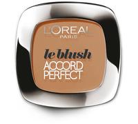 Accord Perfect Le Blush 160 Marrón Claro