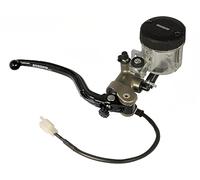 Accossato - Bomba de freno radial delantera de 19X18 in, de aluminio anodizado natural, para Suzuki GSX 1300 B-King de 2008 a 2010 (CC 1300)