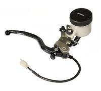 Accossato - Bomba de freno radial delantera de 19X18 in, de aluminio anodizado natural, para Suzuki GSX 1300 B-King de 2008 a 2010 (CC 1300)
