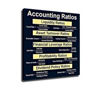 Accounting Ratios & Formulas Wall Art - Financial Analysis Guide Poster for Accountant Office & Study Room(Framed,08X12inch(20X30cm))