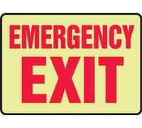 Accuform MLEX578GP Lumi-Glow Plastic Safety Sign, Legend"EMERGENCY EXIT", 10" Length x 14" Width x 0.070" Thickness, Red on Glow