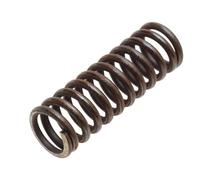 ACDelco 8623666 GM Original Equipment - Resorte de pistón servo de transmisión automática de Banda Baja e inversa