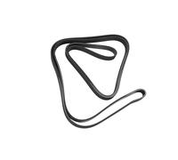 ACDelco GM Original Equipment 12732504 - Correa primaria de transmisión de accesorios