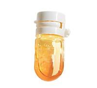 Aceite De Cuidado Del Cabello - Reparación De Protectores Daño Aceite De Cabello - Accesorios De Estilo Hidratantes De Hidratación Portátiles Para Hombres Viajes Salón Home Women Daño Descanso